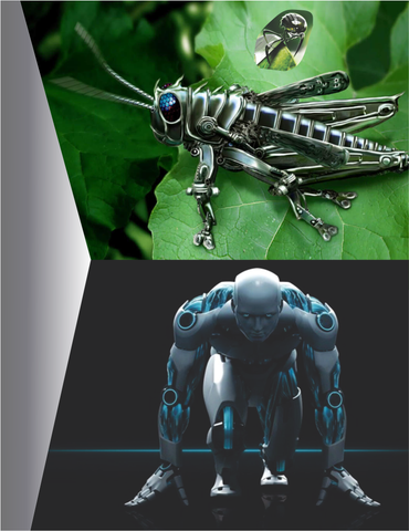 Colección Tecnología