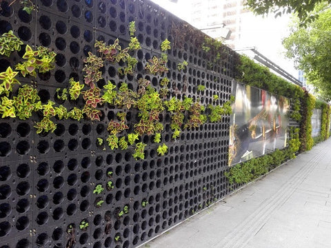 Jardinería Vertical OJF1