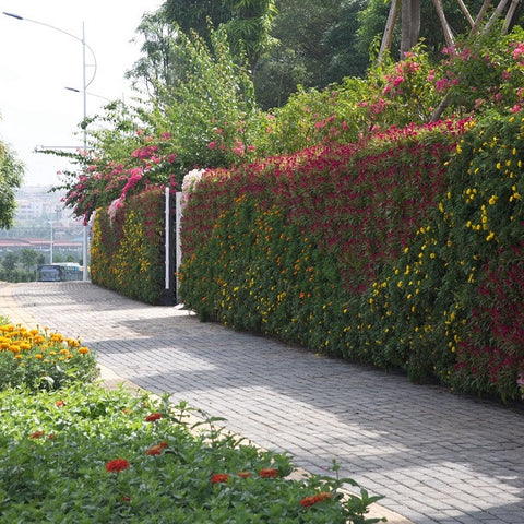 Jardinería Vertical OJF2