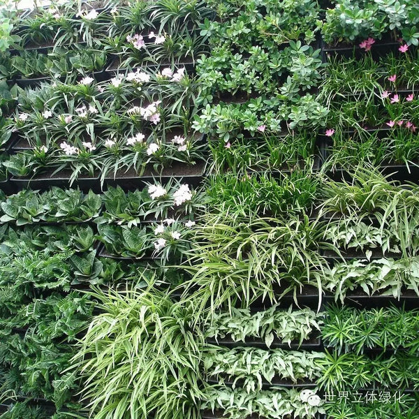 Jardinería Vertical OJF3