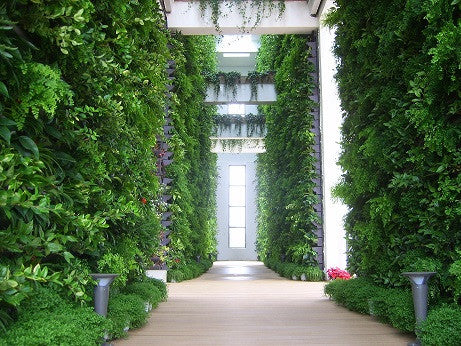 Jardinería Vertical OJF4