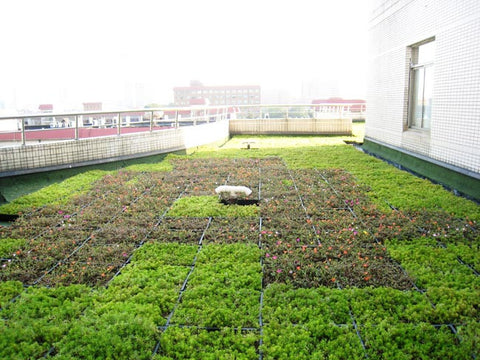 Jardinería para techos OJF5