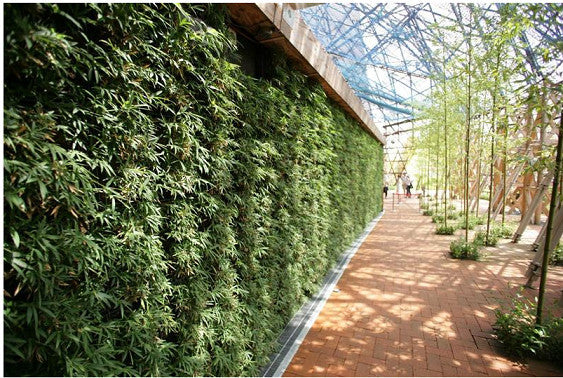 Jardinería Vertical OJF2