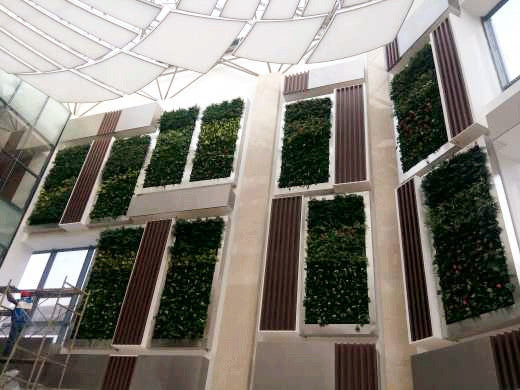 Jardinería Vertical OJF4